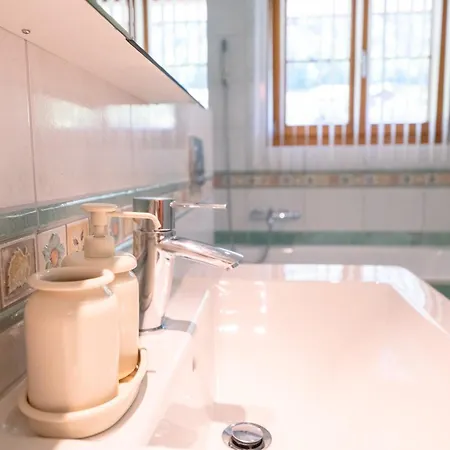 Dream View Of The And Mountains Iseltwald